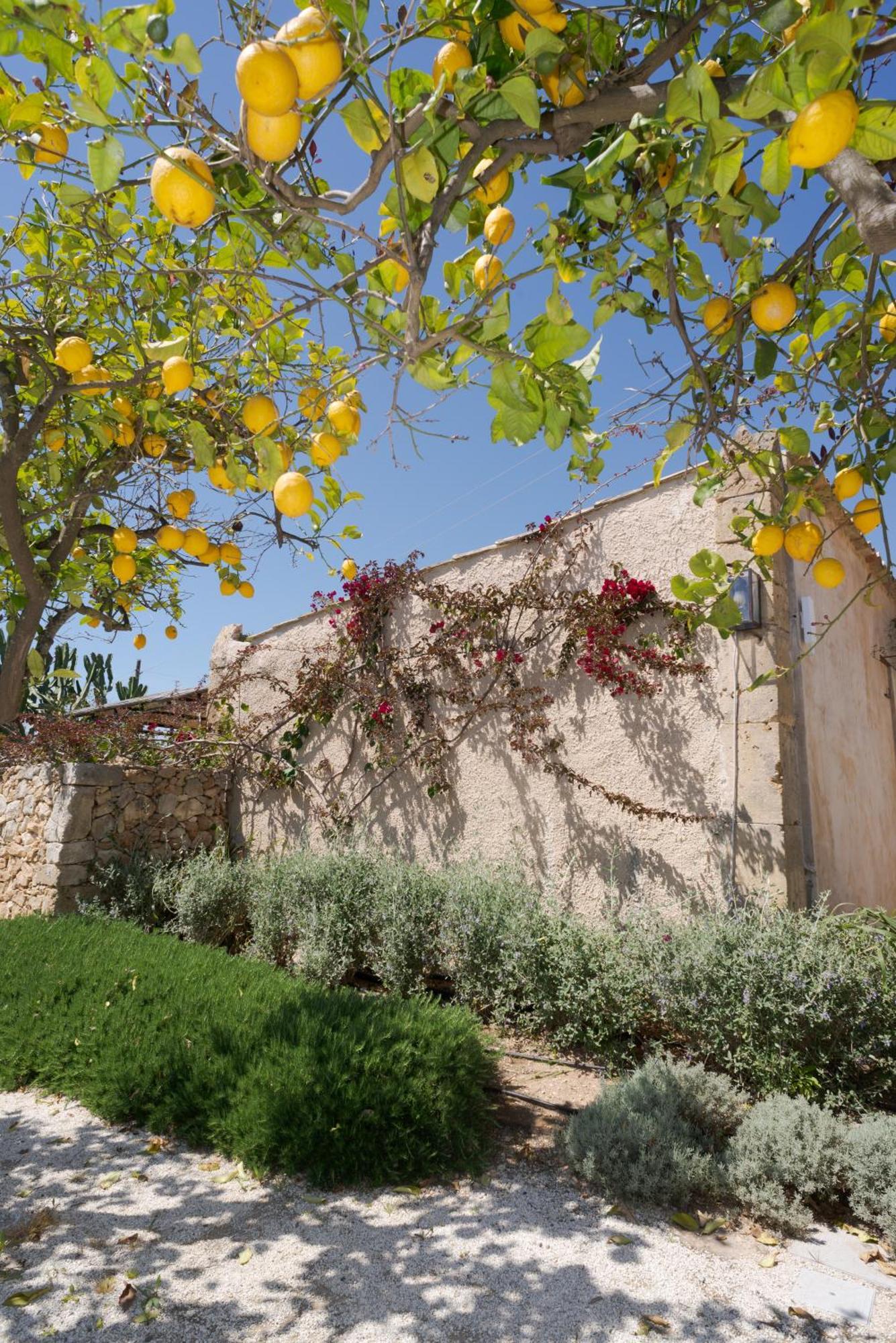 Baglio Siciliamo (adults Only) Lido di Noto